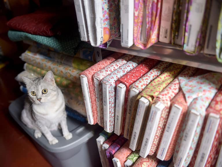 Featured by the St. Joseph News Press QUILTING BY DAVID